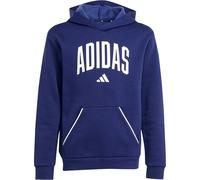 Adidas Seasonals Essentials Collegiate Typography Hoodie Kinder | blau | Kinder | 176 | JV7338 176