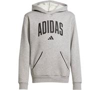 Kapuzensweatshirt ADIDAS SPORTSWEAR "J CLGT OH FL HD", Kinder, Gr. 164, grau (medium grau heather, schwarz), Obermaterial: 55% Baumwolle, 36% Polyester, 9% Viskose, sportlich, Sweatshirts (11753815-16