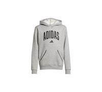 adidas Seasonals Essentials Collegiate Typography Hoodie Kinder - grau/schwarz - 152