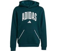 Adidas Seasonals Essentials Collegiate Typography Hoodie Kinder | grün | Kinder | 128 | JV7337 128