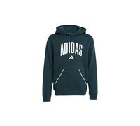 adidas Seasonals Essentials Collegiate Typography Hoodie Kinder - grün/weiß - 140