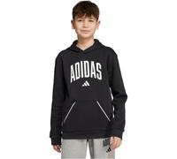 Kapuzensweatshirt ADIDAS SPORTSWEAR "J CLGT OH FL HD", Kinder, Gr. 164, schwarz-weiß (schwarz, weiß), Obermaterial: 55% Baumwolle, 36% Polyester, 9% Viskose, sportlich, Sweatshirts (67071065-164) schw