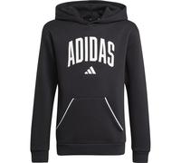 Adidas Seasonals Essentials Collegiate Typography Kinder Kapuzensweater, schwarz 140