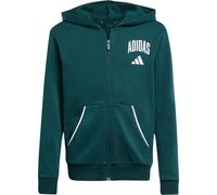 Adidas Seasonals Essentials Collegiate Typography Sweatjacke Kinder | grün | Kinder | 152 | JW2389 152