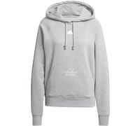 Adidas Signature Graphic Embroidery French Terry Loose Damen Kapuzensweater, grau XS
