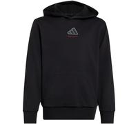 adidas Slogan Fleece Hoodie Jungen KX2475 - black 164
