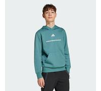 Kapuzensweatshirt ADIDAS SPORTSWEAR "B FL HD", Kinder, Gr. 128, preloved teal, Obermaterial: 71% Baumwolle, 29% Polyester, sportlich, Sweatshirts (38433864-128) preloved teal