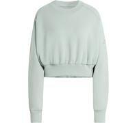 Weiches Lux Loose Sweatshirt Wonder Sage 2XL