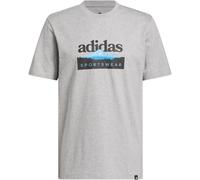 adidas Sportsman Mountain Graphic T-Shirt Herren KC9253 - medium grey heather 4XL