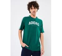 adidas Codes Collegiate Linear Graphic T-Shirt Herren JJ3869 - collegiate green S