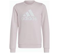 Adidas Sportswear Essentials Big Logo Cotton Sweatshirt Mädchen Sweatshirt, pink, Gr. 170