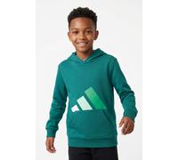 Kapuzensweatshirt ADIDAS SPORTSWEAR "ESSENTIALS KIDS HOODIE", Mädchen, Gr. 176, grün (collegiate grün, weiß, clear mint, court grün), Obermaterial: 55% Baumwolle, 36% Polyester, 9% Viskose, normal, Ru