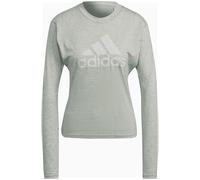 Adidas Sportswear Future Icons Winners 3 Longsleeve Damen T-Shirt, grau, Gr. S