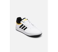 adidas Hoops Shoes Schuhe, Cloud White/Core Black/Bold Gold, 38 2/3 EU