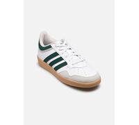 adidas Sneaker HOOPS 4.0 in Weiss 40