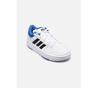 Sneaker ADIDAS SPORTSWEAR "HOOPS CLASSIC", Damen, Gr. 34, cloud weiß, ray blau, core schwarz, Synthetik, Schuhe Sneaker, mit Klettverschluss, für Kinder & Jugendliche (60321100-34) cloud weiß, ray bla