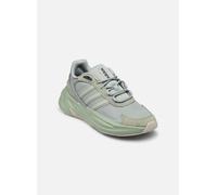 adidas sportswear - Ozelle - Grün - Sneaker - Größe 43 1/3