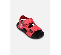 adidas performance Unisex Baby Sandals, Better Scarlet/FTWR White/Core Black, 21 EU