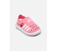 adidas Unisex Baby Closed-Toe Summer Water Sandals, Bliss Pink/Cloud White/Pulse Magenta, 26 EU