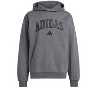 Adidas Sportswear Seasonal Essentials Camo Hooded Herren Kapuzensweater, grau, Gr. L