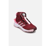 adidas sportswear - Sportschuhe Fortatrail Boa K - Bordeaux - Größe 34