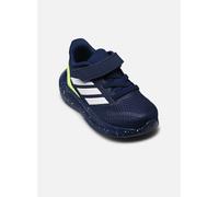 adidas sportswear - Sportschuhe Runfalcon 5 El I - blau - Größe 26