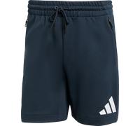 adidas Sportswear Sportswear Z.N.E. Shorts L blau