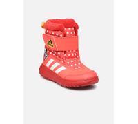 adidas sportswear - Stiefeletten & Boots Winterplay Minnie C - rot - Größe 31