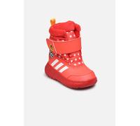 adidas sportswear - Stiefeletten & Boots Winterplay Minnie I - rot - Größe 21