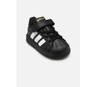 Sneaker ADIDAS SPORTSWEAR "STREETTALK", Damen, Gr. 21, core schwarz, ftwr weiß, gold metallic, Synthetik, Schuhe Sneaker, inspiriert vom Design des adidas superstar, für Kinder (88765310-21) core schw