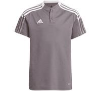Adidas Sportswear Tiro 21 Poloshirt Kinder Poloshirt, grau, Gr. 152