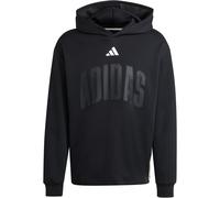 adidas Stadium Graphic Hoodie Herren KD0287 - black/off white XS