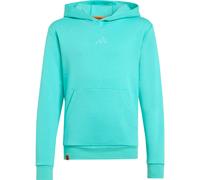 adidas TERREX x Minecraft Hoodie Kinder KB4970 - semi mint rush 170