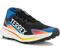 adidas Terrex Argravic Gore-Tex Herren F 43.1/3