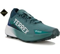 adidas Terrex Argravic Gore-Tex Herren Laufschuhe Herren 46