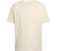 adidas Terrex Herren Multi MP T-Shirt (Größe M, beige)