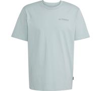 adidas Terrex Herren Polygiene Graphic T-Shirt (Größe XXL, grau)