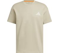 adidas Terrex Herren Xploric GFX T-Shirt (Größe L, oliv)