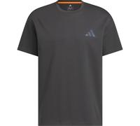 adidas Terrex Herren Xploric GFX T-Shirt (Größe XL, schwarz)