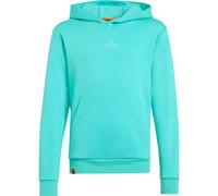 Adidas K MINECRAFT MT HOODIE Hoodies green in Größe:Age 12-14 | EU 152-164