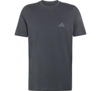 TERREX MOUNTAIN GRAPHIC T-SHIRT Carbon S