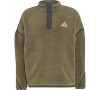 Adidas Terrex Multi High Pile Fleece Herren Rollkragenpullover, grün S