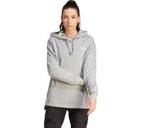 adidas Terrex Organizer Logo Hoodie Damen XS Grau