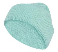adidas Terrex Terrex Multi Beanie semi flash aqua (AEXY) Adult (M/L)