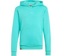 adidas TERREX x Minecraft Hoodie Kinder KB4970 - semi mint rush 116