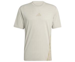 adidas Terrex - XPR Tee - Funktionsshirt, Gr. L, beige (WonderAlumina)