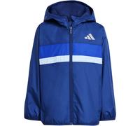 Windbreaker ADIDAS SPORTSWEAR "J TIBERIO WB", Jungen, Gr. 176, blau (dunkelblau, royal blau, glow blau), Obermaterial: 100% Polyester, normal, Jacken Windbreaker (13790325-176) dunkelblau, royal blau,