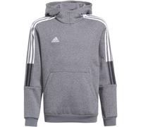 Adidas Tiro 21 Sweat Hoodie Kinder Kapuzensweater, grau 128