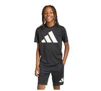 adidas Train Essentials BIG Logo T-shirt black-white (095A) 116