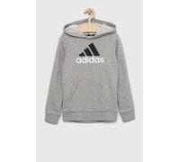 Adidas Kinder Hoodie U BL 2 Essentials, zweifarbiges Logo, Baumwolle, Grau/Weiß Gr. 152